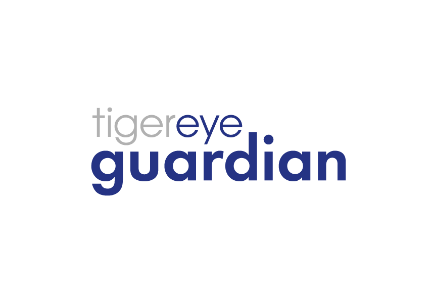 Tiger Eye Guardian